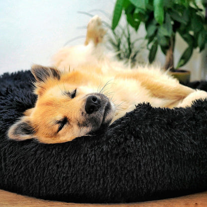 DogBed | Bequemes Hundebett | Ultimativer Komfort | Sicherheit und Schutz