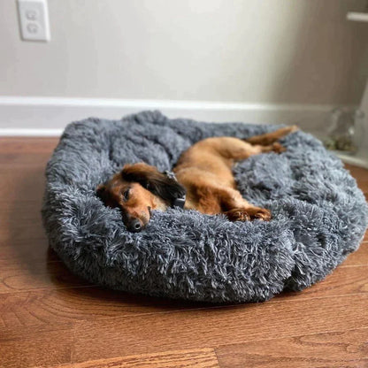 DogBed | Bequemes Hundebett | Ultimativer Komfort | Sicherheit und Schutz