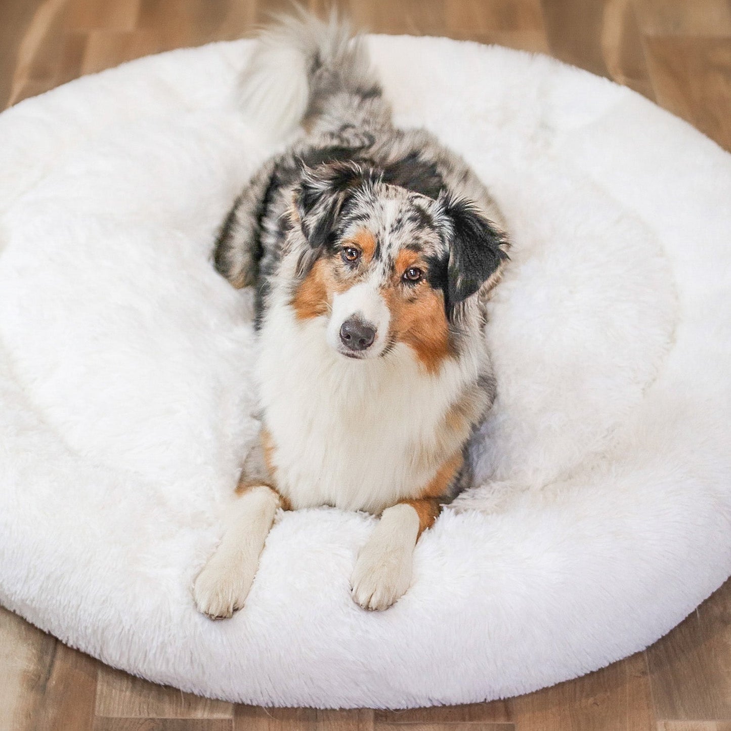 DogBed | Bequemes Hundebett | Ultimativer Komfort | Sicherheit und Schutz