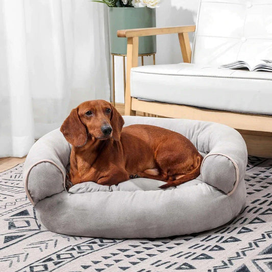 Beruhigende Hundecouch mit Weicher Orthopädischer Füllung | BestBed